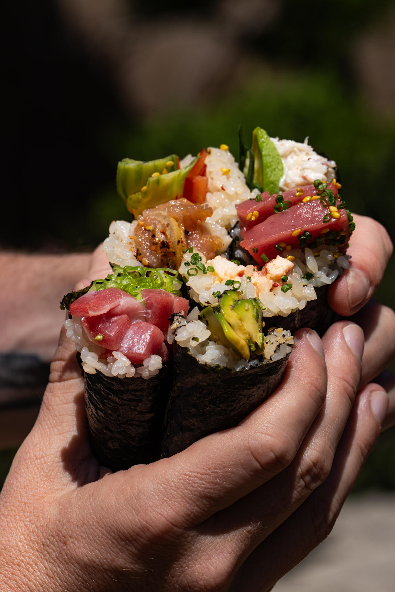 Two hands holding a cluster of assorted hand rolls in sunlight